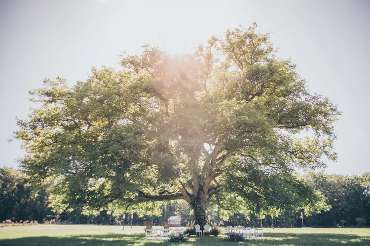 Jardins à la Française