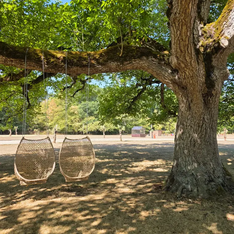Fauteuils suspendus en osier sous le noyer du parc